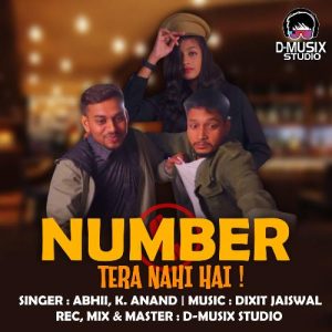 Number Tera Nahi Hai Album Art