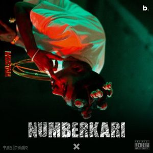 Numberkari (Tadipaar)