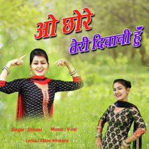 O Chhore Teri Deewani Hu