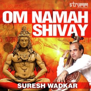 Om Namah Shivay