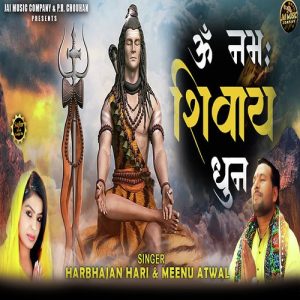 Om Namah Shivay (Dhun) Album Art