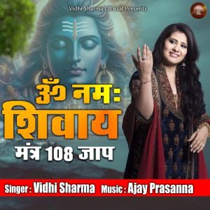 Om Namah Shivay Mantra 108 Jaap Album Art