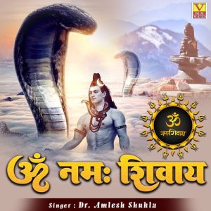 Om Namah Shivay…
