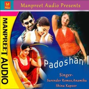 Padoshan Album Art