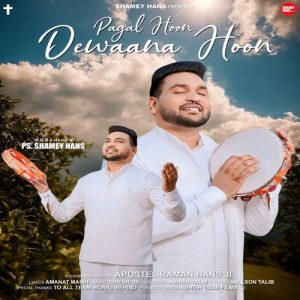 Pagal Hoon Dewaana Hoon Album Art