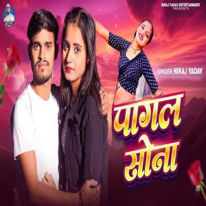 Pagal Sona Album Art