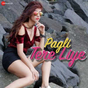 Pagli Tere Liye Album Art