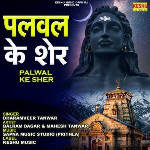 Palwal Ke Sher Album Art