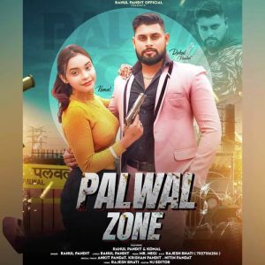 Palwal Zone Album Art