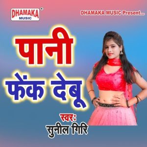 Pani Fenk Debu Album Art
