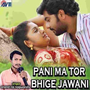 Pani Ma Tor Bhige Jawani Album Art