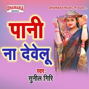 Pani Na Dewelu Album Art