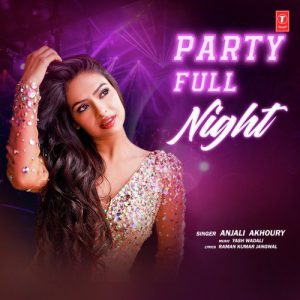 Party Full Night Album Art