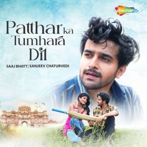 Patthar Ka Tumhara Dil (2025) Album Art