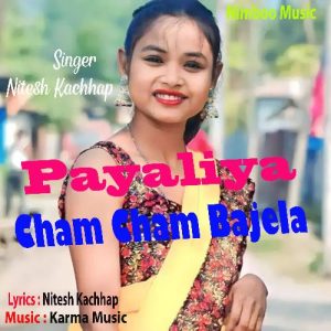Payaliya Cham Cham Bajela Album Art