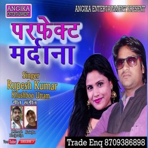 Perfect Mardana Album Art