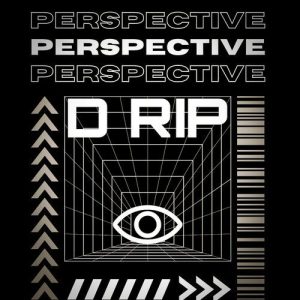 Perspective Album Art