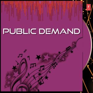 Public Demand Vol-2 (1997) Album Art