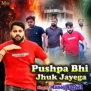 Pushpa Bhi Jhuk Jayega Album Art