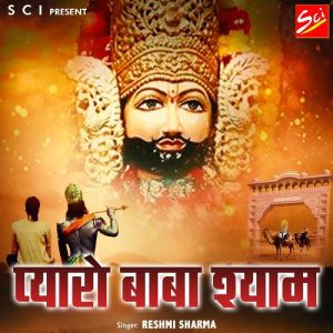 Pyaro Baba Shyam Album Art