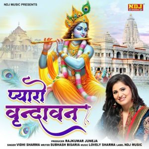 Pyaro Vrindavan Album Art