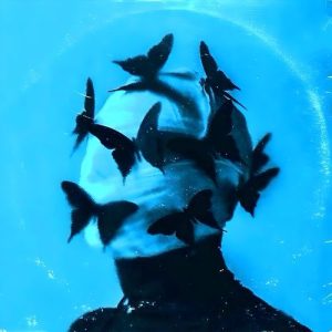 QUESTIONS ? Album Art