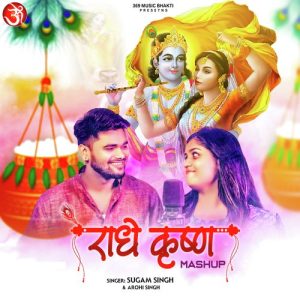 Radhe Krishna Mashup Album Art