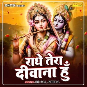 Radhe Tera Deewana Hu Album Art