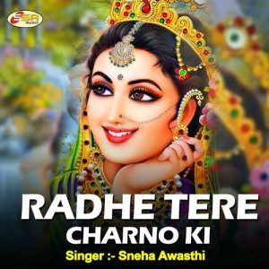 Radhe Tere Charno Ki Album Art