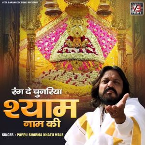 Rang De Chunariya Shyam Naam Ki Album Art