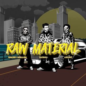 Raw Material Album Art