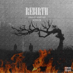 Rebirth