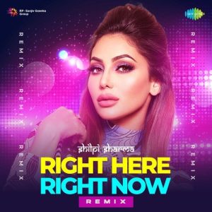 Right Here Right Now – Remix