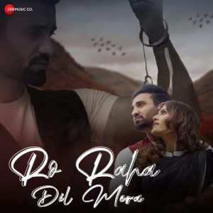 Ro Raha Dil Mera (2022) Album Art