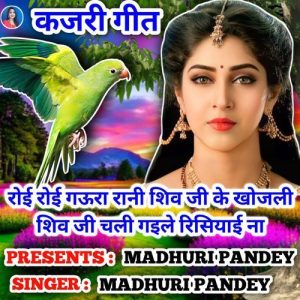 Roi Roi Gaura Rani Shiv Ji Ke Khojali Shiv Ji Chale Kajari Geet Album Art