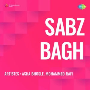 Sabz Bagh Album Art