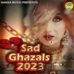 Fair Ke Nazar Bewafa Ho Gayi