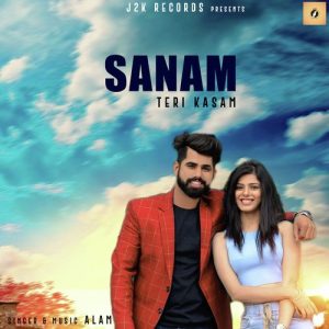 Sanam Teri Kasam Album Art