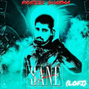 Sane (Lofi) Album Art