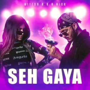 Seh Gaya Album Art