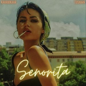 Señorita draft 1 Album Art