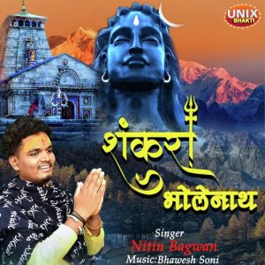 Shankara Bholenath Album Art