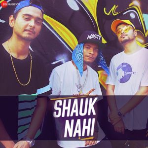 Shauk Nahi (2019) Album Art
