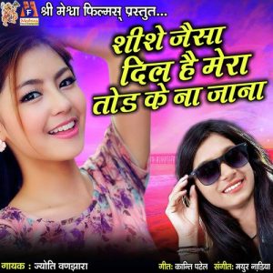 Shishe Jaisa Dil Hai Mera Tod Ke Na Jana Album Art