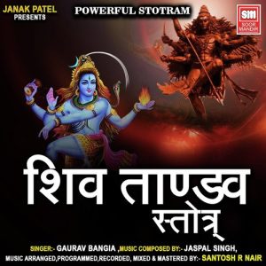 Shiv Tandav Stotra Album Art