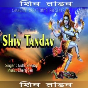 Shiv Thandav (Anil Chandele) Album Art
