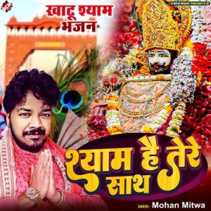 Shyam Hain Tere Saath Album Art