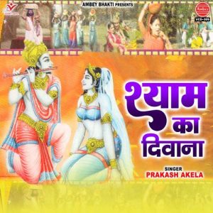 Shyam Ka Diwana