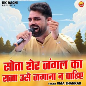 Sota Sher Jangal Ka Raja Use Jagana Na Chahie