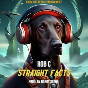 Straight Facts Album Art